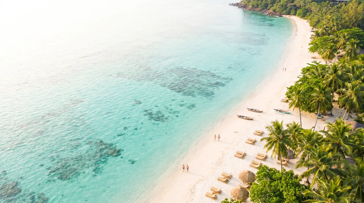Aerial view of a tropical shoreline with clear water