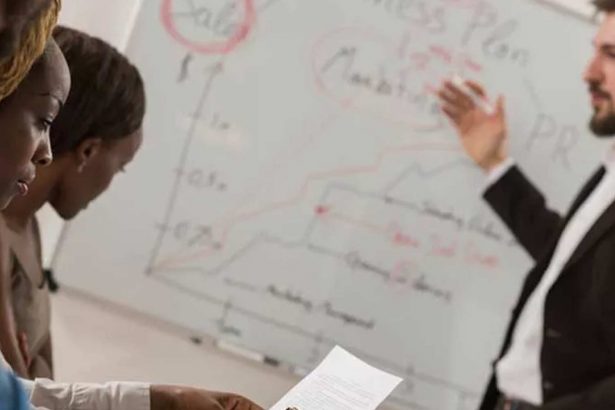 A team collaborates on a marketing plan, highlighting key aspects of vet compliance.